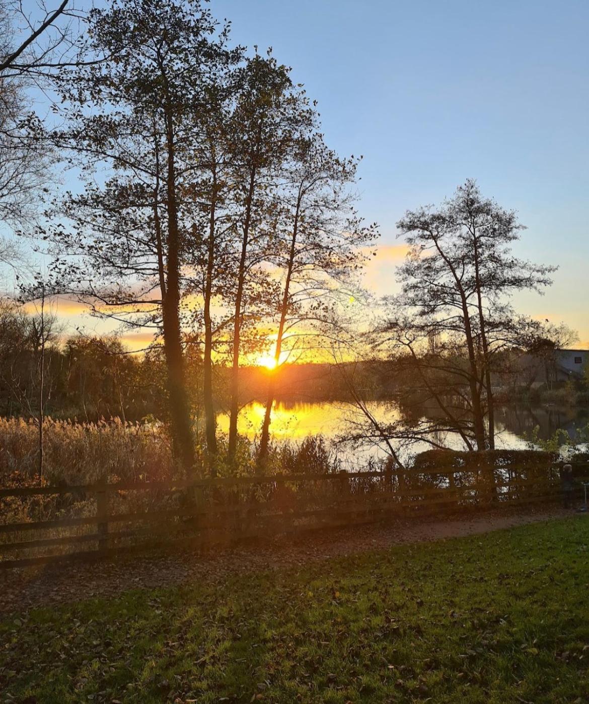 Home From Home, Close To Redditch Hospital Abb Eksteriør bilde